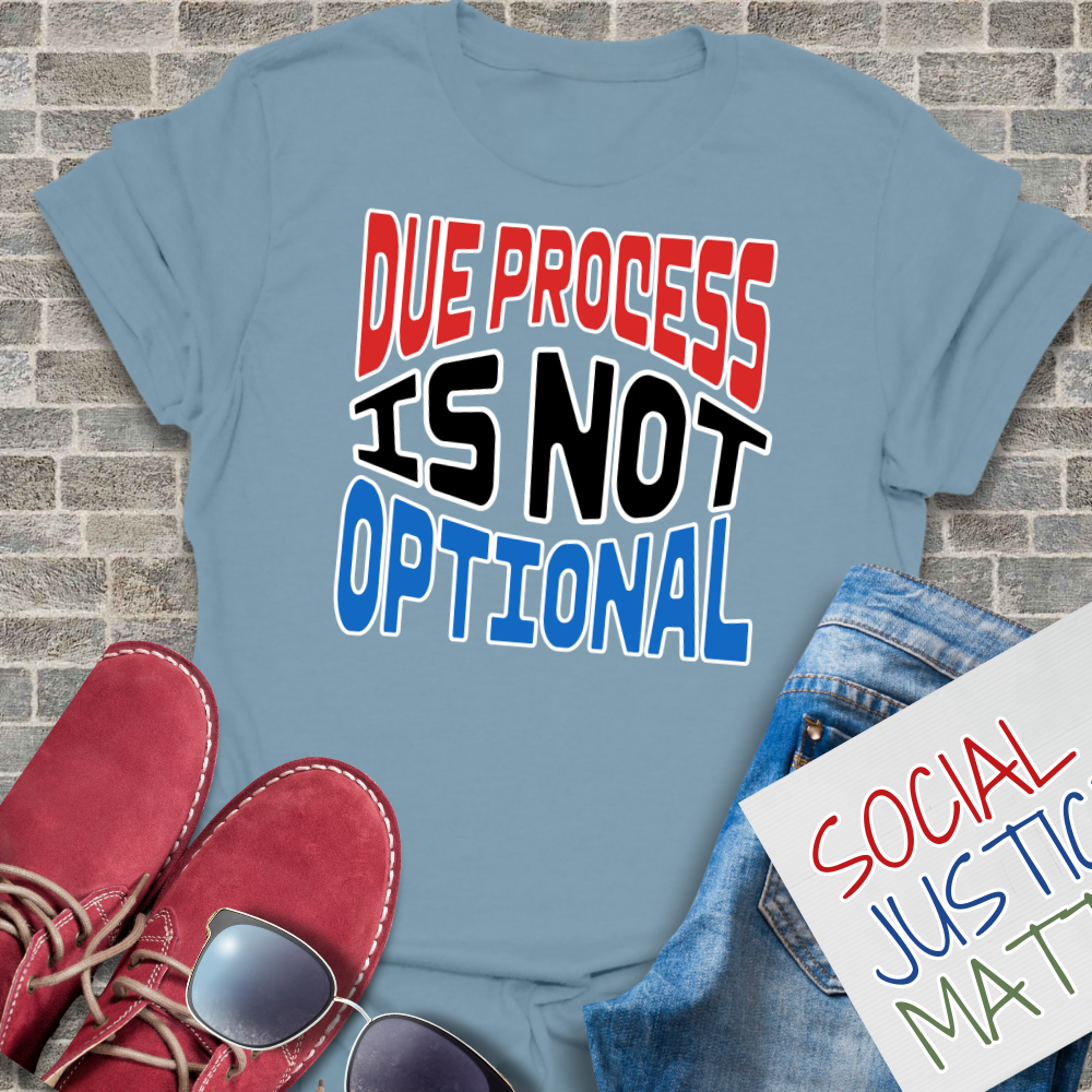 Due Process is not Optional - Unisex T-Shirt