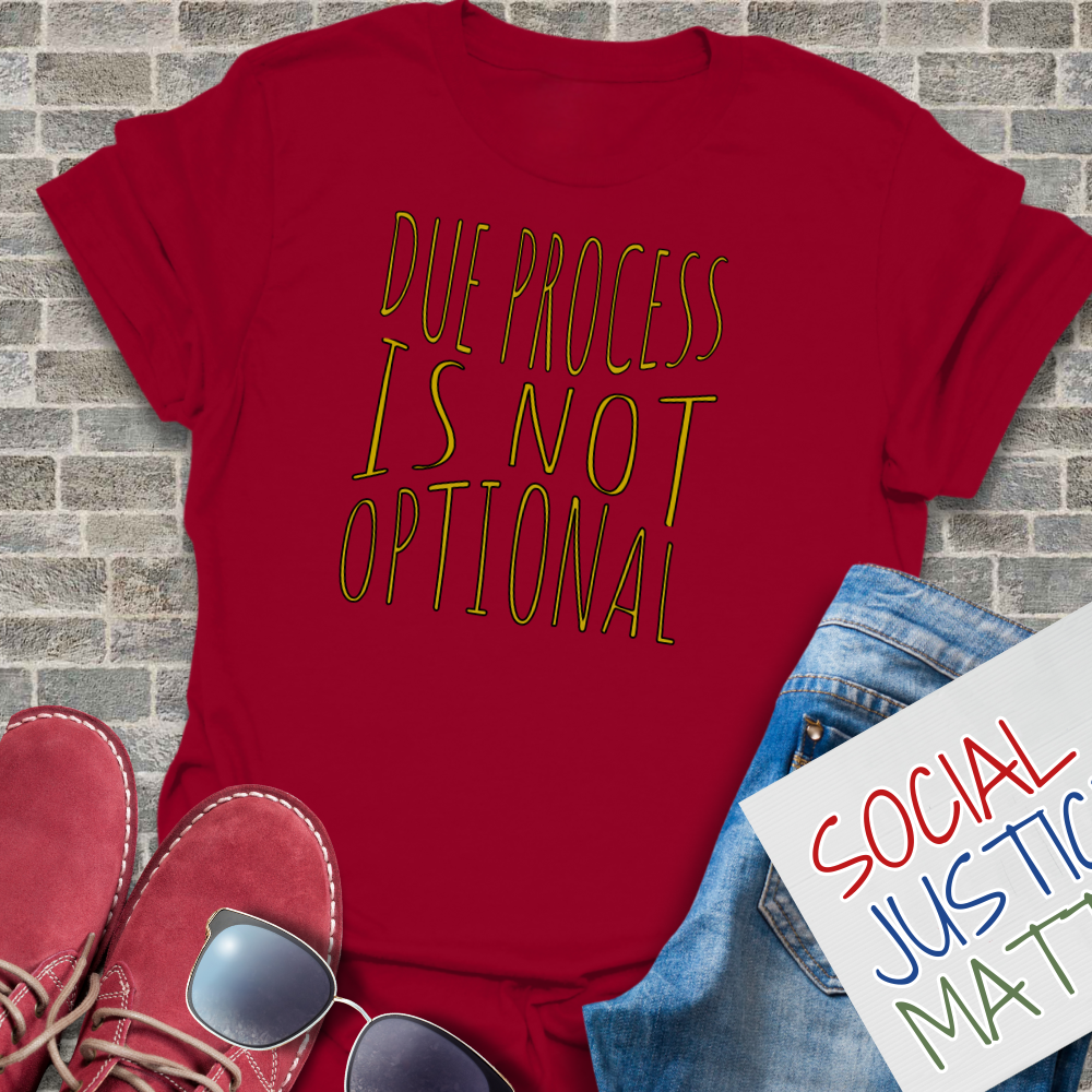 Due Process is not Optional 2.0 - Soft-Style Unisex T-Shirt
