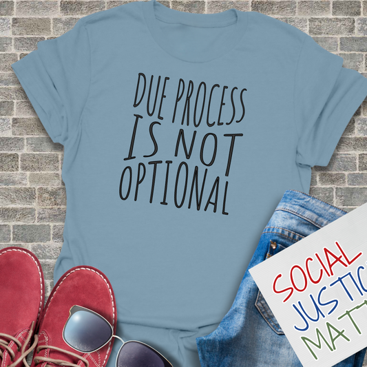 Due Process is not Optional 2.0 - Soft-Style Unisex T-Shirt
